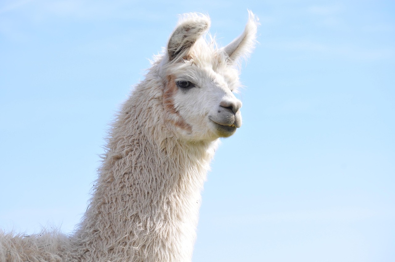 集宁代理记账注册