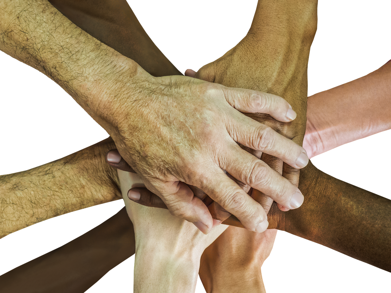 丽晶国际实名账号：2018开户送金平台