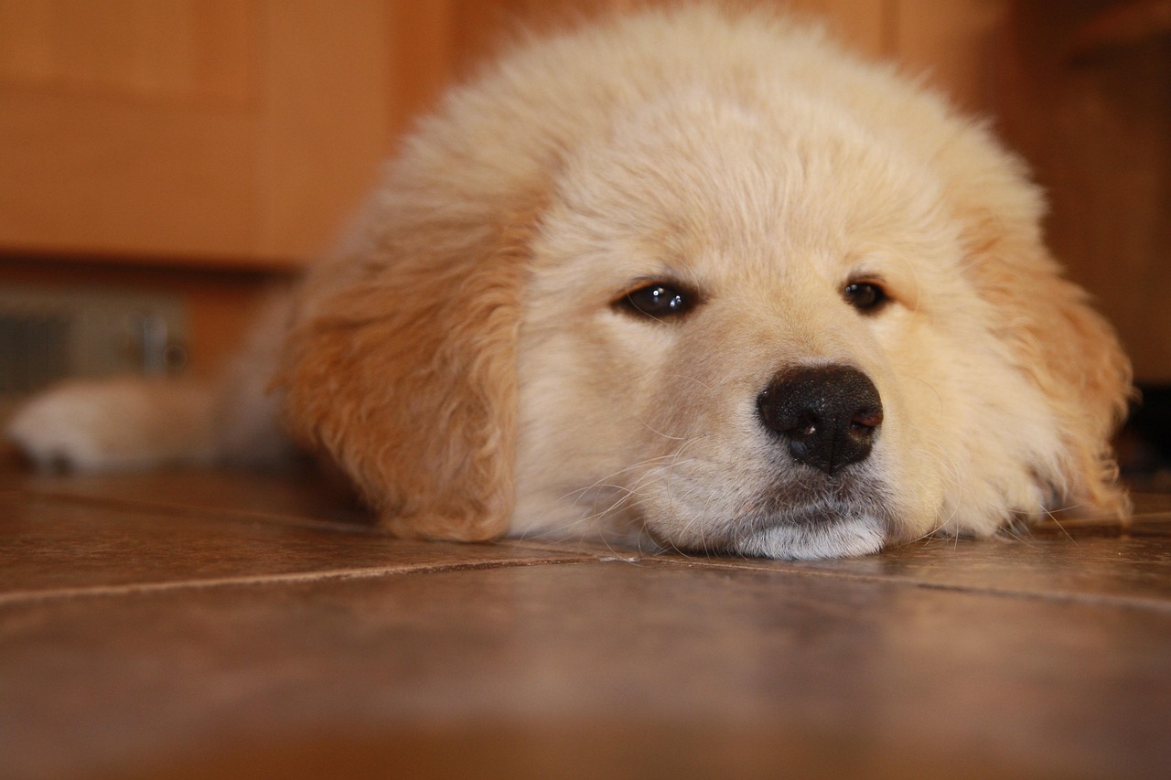 下沙香港公司注册代理机构