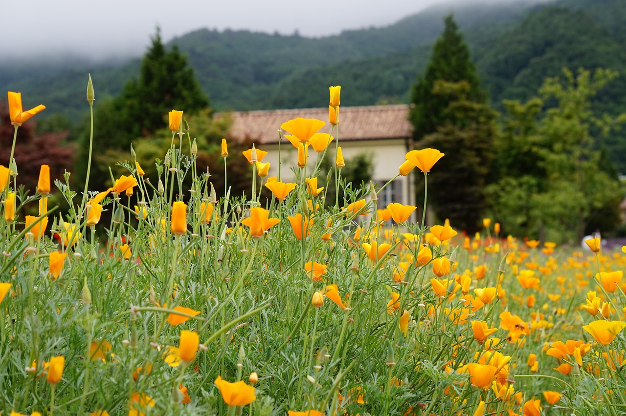 极简短信：实现高效简洁交流