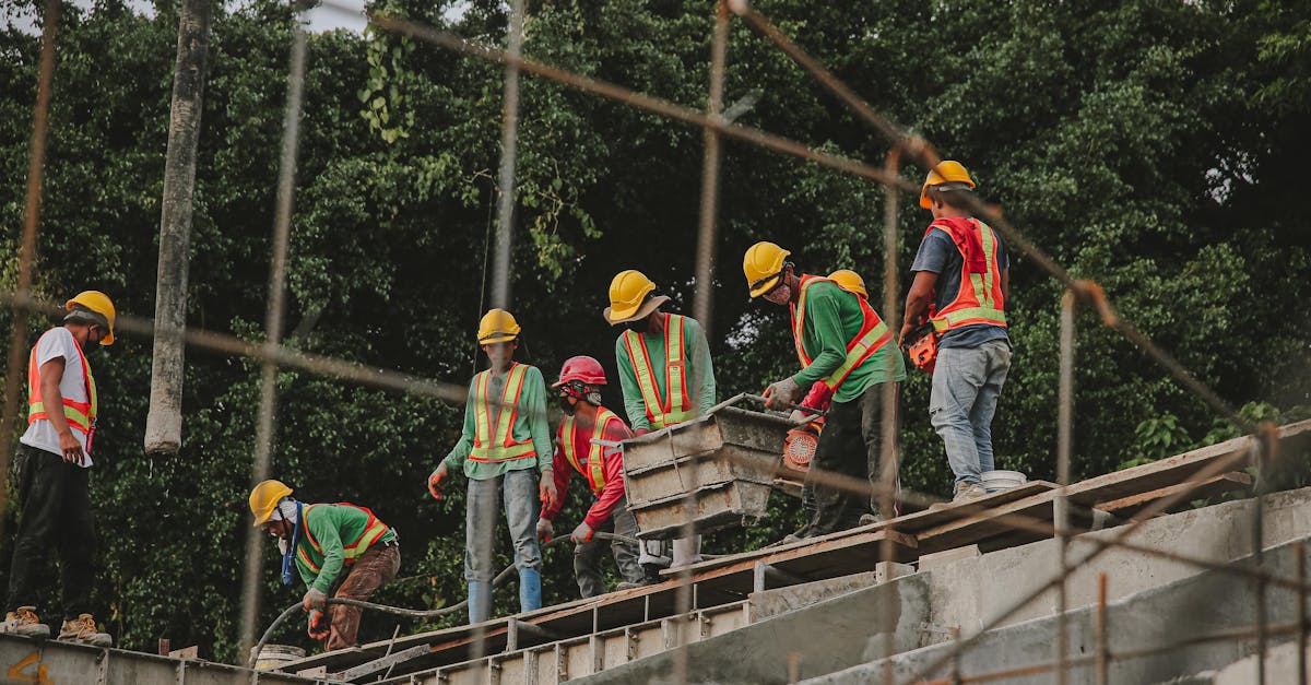 DDOS网页端|草莓app破解版详情下载教程