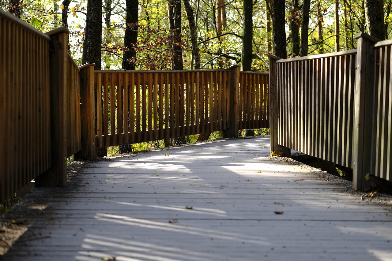 支付宝代刷人脸：嘉定区代理注册公司资金