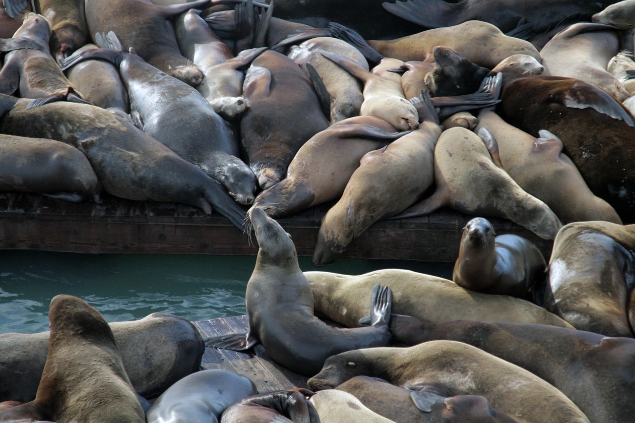 权倾三国辅助- 金山注册新公司代理